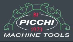 Logo Picchi